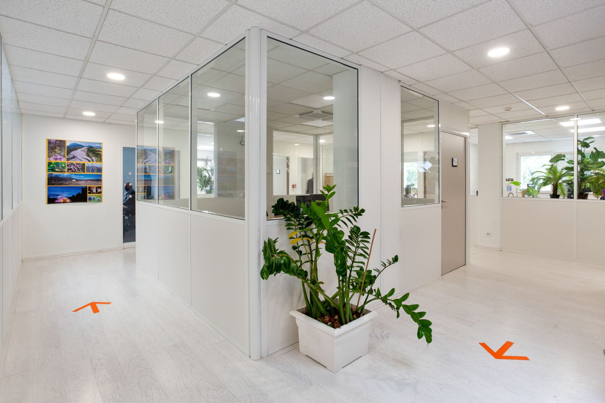 Couloir contournant un bureau vitré centré blanc des locaux des Eaux de Grenoble