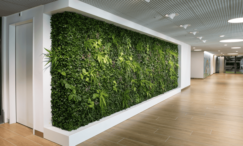 Mur végétal en entreprise